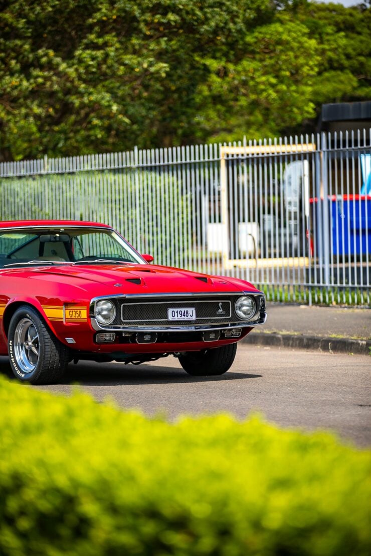 1969 Shelby Mustang GT350 6