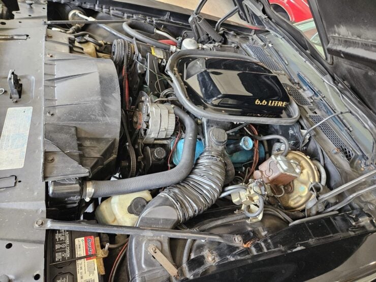 1977 Pontiac Firebird Trans Am 19