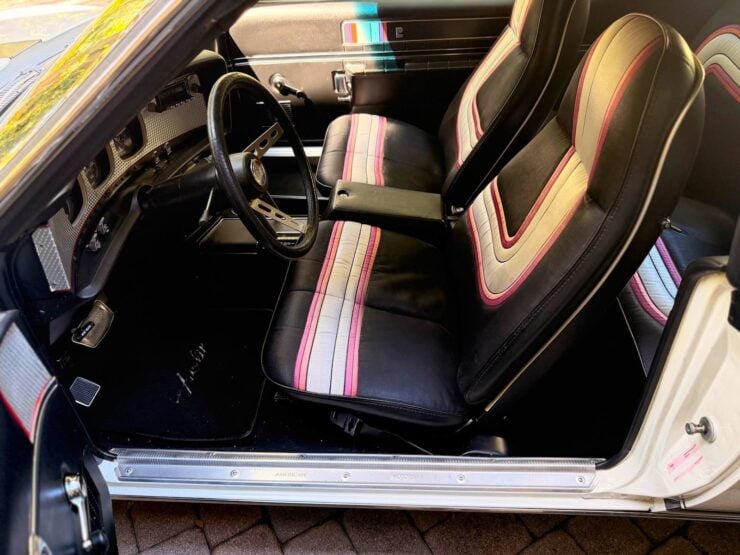 AMC AMX Pierre Cardin 19