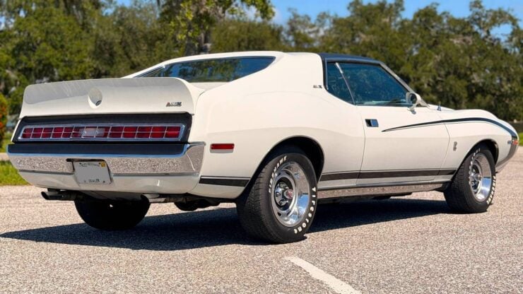 AMC AMX Pierre Cardin 7