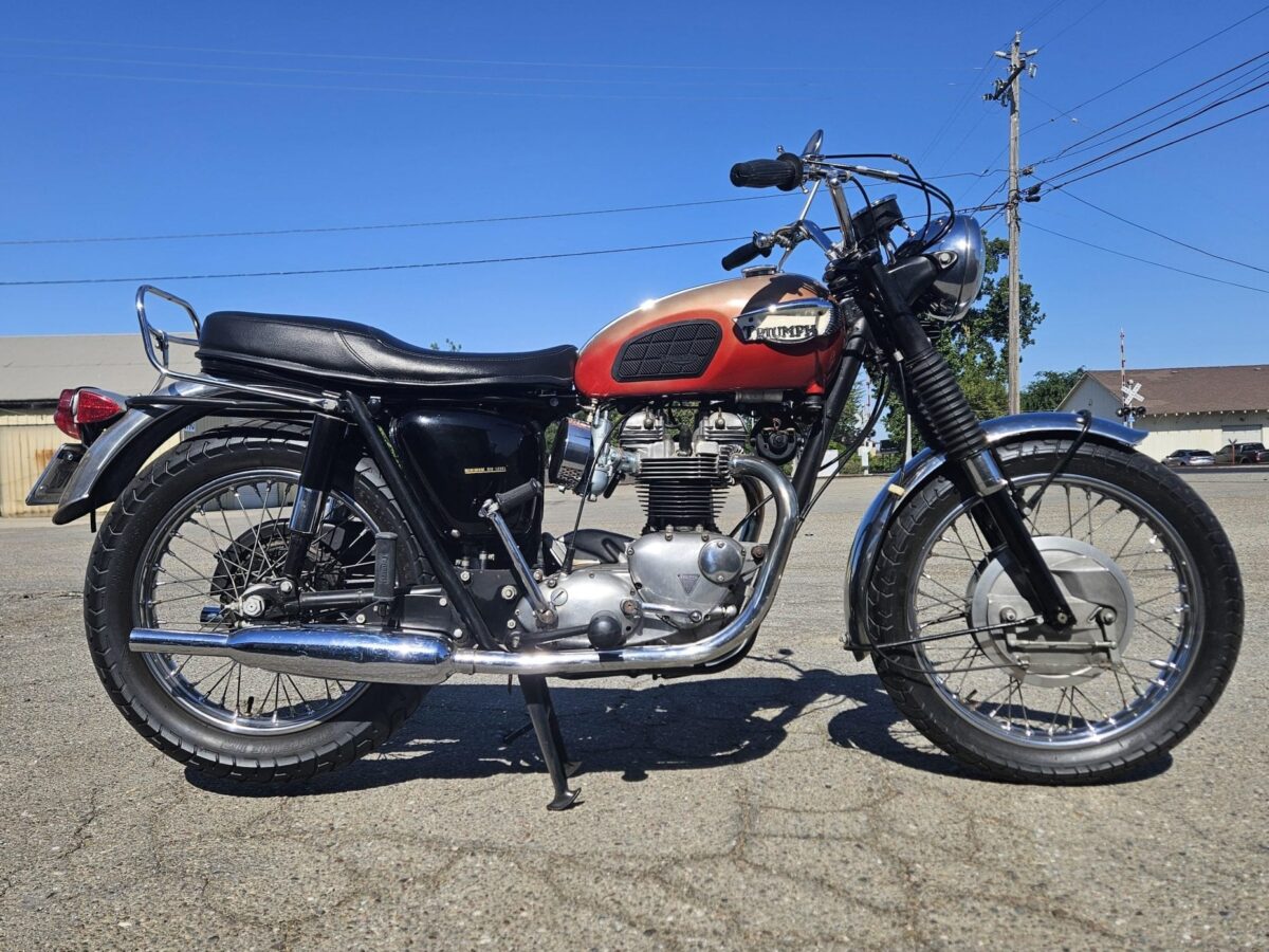 Billie-Joe-Armstrong-Triumph-
